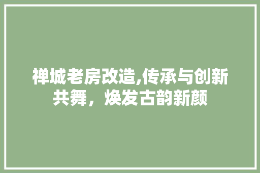 禅城老房改造,传承与创新共舞，焕发古韵新颜