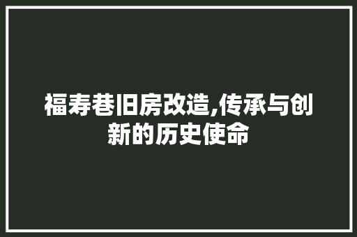 福寿巷旧房改造,传承与创新的历史使命