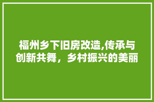 福州乡下旧房改造,传承与创新共舞，乡村振兴的美丽画卷