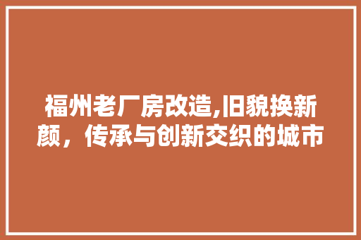 福州老厂房改造,旧貌换新颜，传承与创新交织的城市记忆