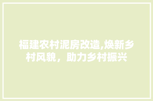 福建农村泥房改造,焕新乡村风貌，助力乡村振兴