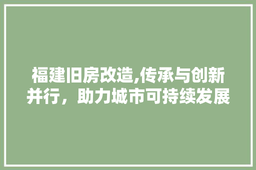 福建旧房改造,传承与创新并行，助力城市可持续发展
