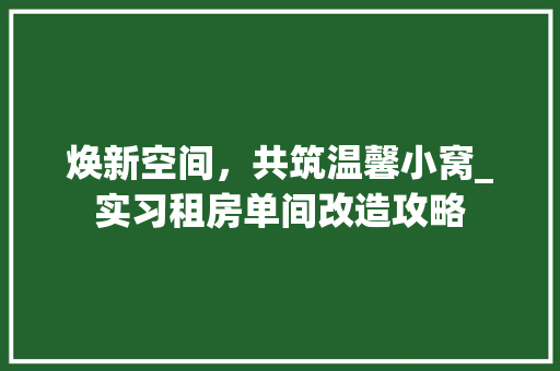 焕新空间，共筑温馨小窝_实习租房单间改造攻略