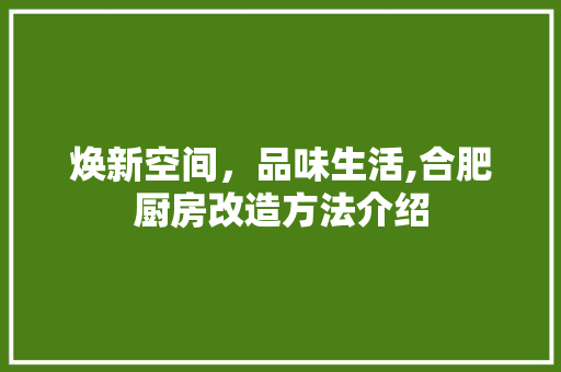 焕新空间，品味生活,合肥厨房改造方法介绍 厨房维修