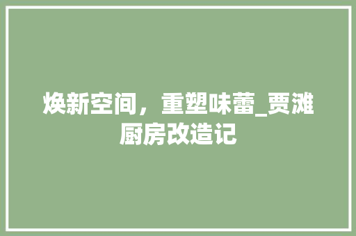 焕新空间，重塑味蕾_贾滩厨房改造记 厨房维修