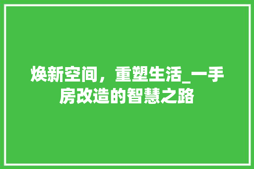 焕新空间，重塑生活_一手房改造的智慧之路 家电维修