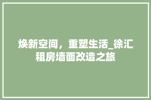 焕新空间，重塑生活_徐汇租房墙面改造之旅