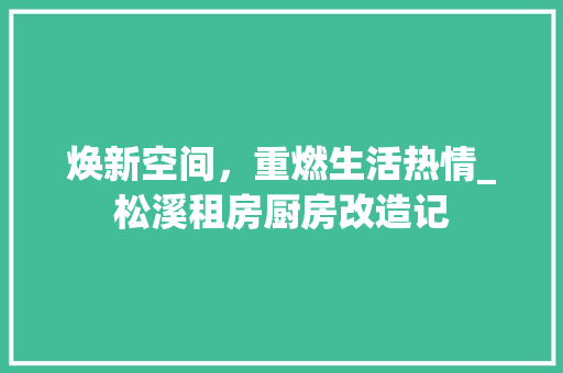 焕新空间，重燃生活热情_松溪租房厨房改造记