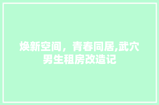 焕新空间，青春同居,武穴男生租房改造记