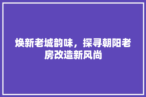 焕新老城韵味，探寻朝阳老房改造新风尚