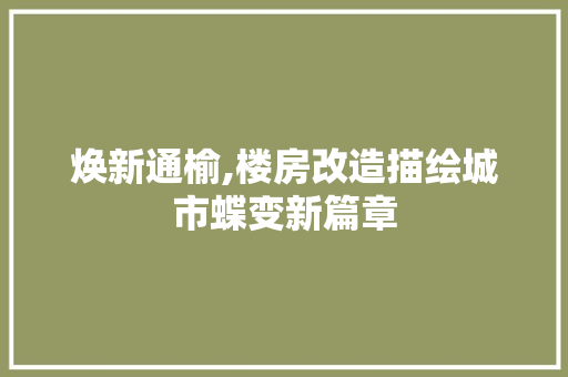 焕新通榆,楼房改造描绘城市蝶变新篇章 厨房维修