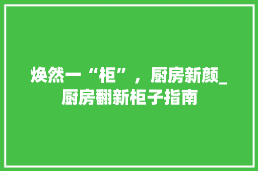 焕然一“柜”，厨房新颜_厨房翻新柜子指南