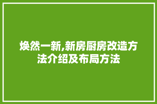 焕然一新,新房厨房改造方法介绍及布局方法 墙体维修