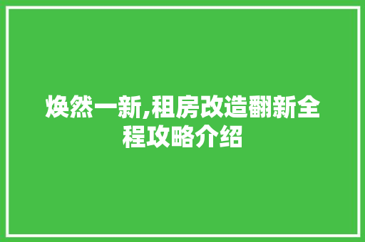 焕然一新,租房改造翻新全程攻略介绍