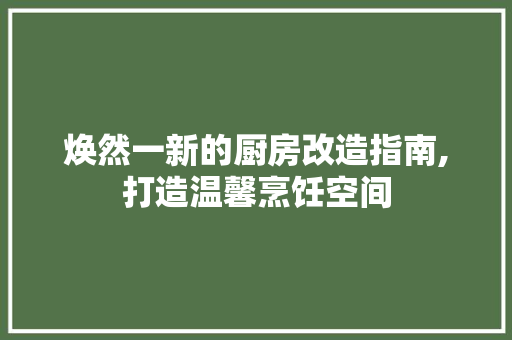 焕然一新的厨房改造指南,打造温馨烹饪空间