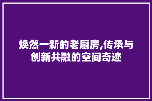 焕然一新的老厨房,传承与创新共融的空间奇迹
