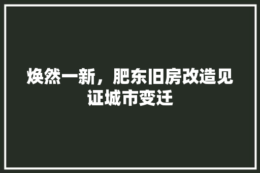 焕然一新，肥东旧房改造见证城市变迁