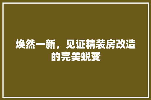 焕然一新，见证精装房改造的完美蜕变