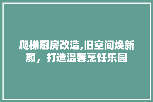 爬梯厨房改造,旧空间焕新颜，打造温馨烹饪乐园 家电维修
