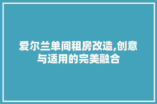 爱尔兰单间租房改造,创意与适用的完美融合 厨房维修