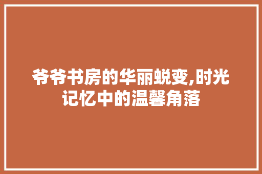 爷爷书房的华丽蜕变,时光记忆中的温馨角落