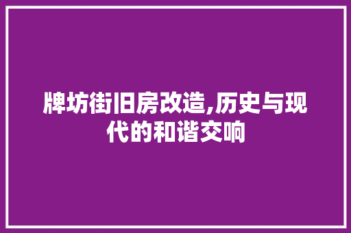 牌坊街旧房改造,历史与现代的和谐交响 家电维修