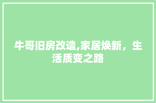 牛哥旧房改造,家居焕新，生活质变之路