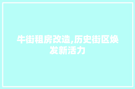 牛街租房改造,历史街区焕发新活力