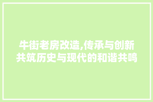 牛街老房改造,传承与创新共筑历史与现代的和谐共鸣