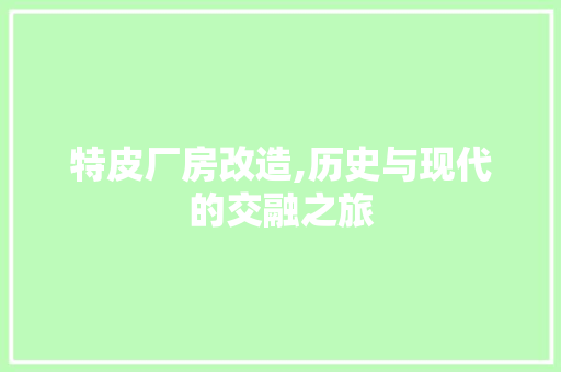 特皮厂房改造,历史与现代的交融之旅 墙体维修