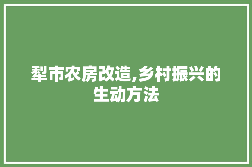 犁市农房改造,乡村振兴的生动方法