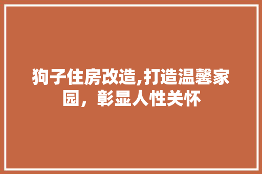 狗子住房改造,打造温馨家园，彰显人性关怀