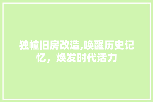 独幢旧房改造,唤醒历史记忆，焕发时代活力 厨房维修