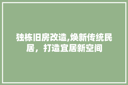 独栋旧房改造,焕新传统民居，打造宜居新空间 厨房维修