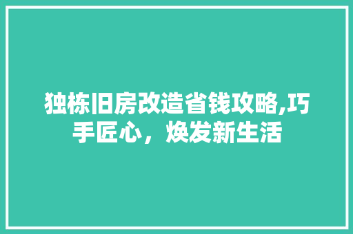 独栋旧房改造省钱攻略,巧手匠心，焕发新生活