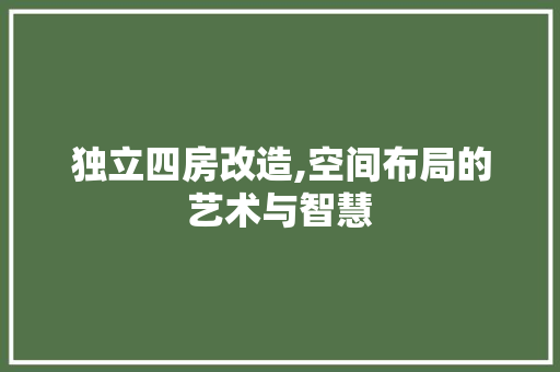 独立四房改造,空间布局的艺术与智慧
