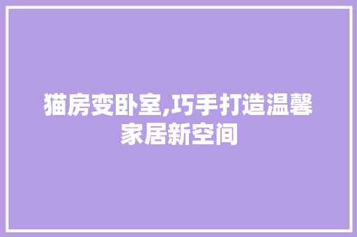 猫房变卧室,巧手打造温馨家居新空间