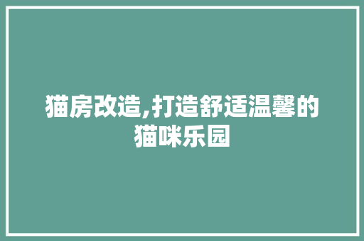 猫房改造,打造舒适温馨的猫咪乐园