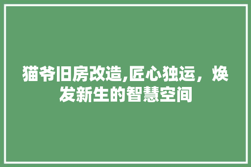 猫爷旧房改造,匠心独运，焕发新生的智慧空间 厨房维修