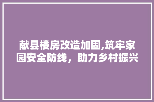 献县楼房改造加固,筑牢家园安全防线，助力乡村振兴 家电维修