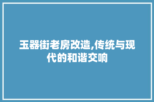 玉器街老房改造,传统与现代的和谐交响