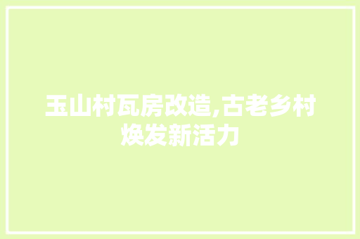 玉山村瓦房改造,古老乡村焕发新活力