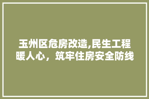 玉州区危房改造,民生工程暖人心，筑牢住房安全防线