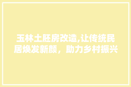 玉林土胚房改造,让传统民居焕发新颜，助力乡村振兴