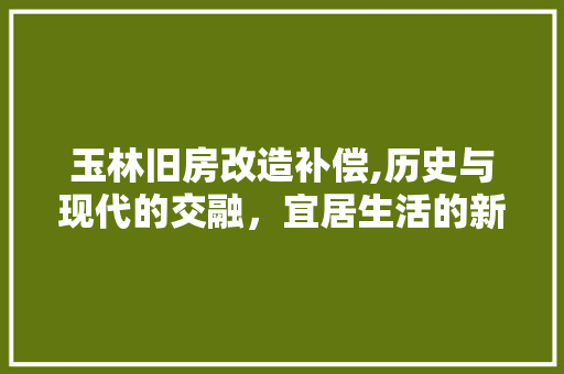 玉林旧房改造补偿,历史与现代的交融，宜居生活的新篇章