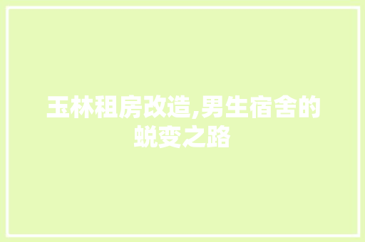 玉林租房改造,男生宿舍的蜕变之路