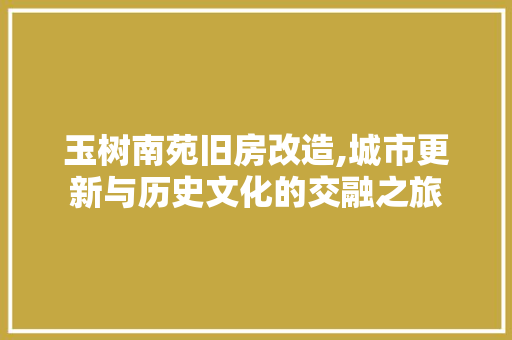 玉树南苑旧房改造,城市更新与历史文化的交融之旅