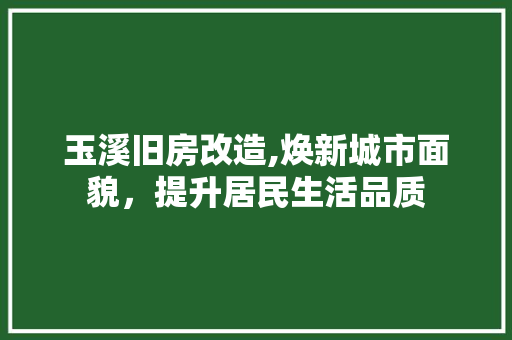 玉溪旧房改造,焕新城市面貌，提升居民生活品质 家电维修
