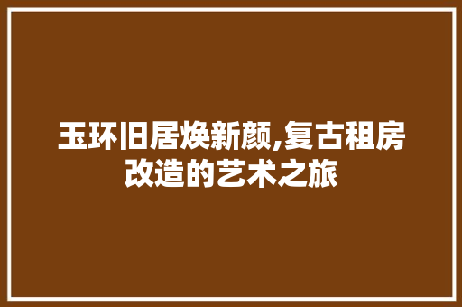 玉环旧居焕新颜,复古租房改造的艺术之旅