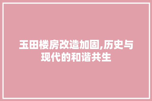 玉田楼房改造加固,历史与现代的和谐共生